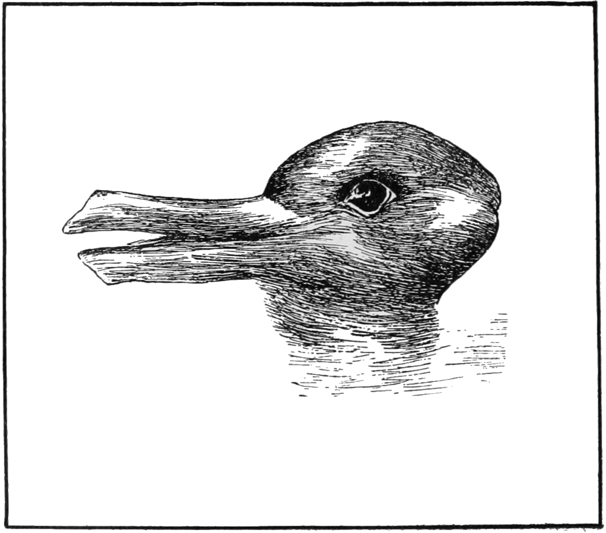 A sketch showing an optical illusion of a duck or a rabbi head. Looking left to right, one might see a duck head with an open beak, looking right to left, one might see a rabbit head and see the beak as rabbits ears. 