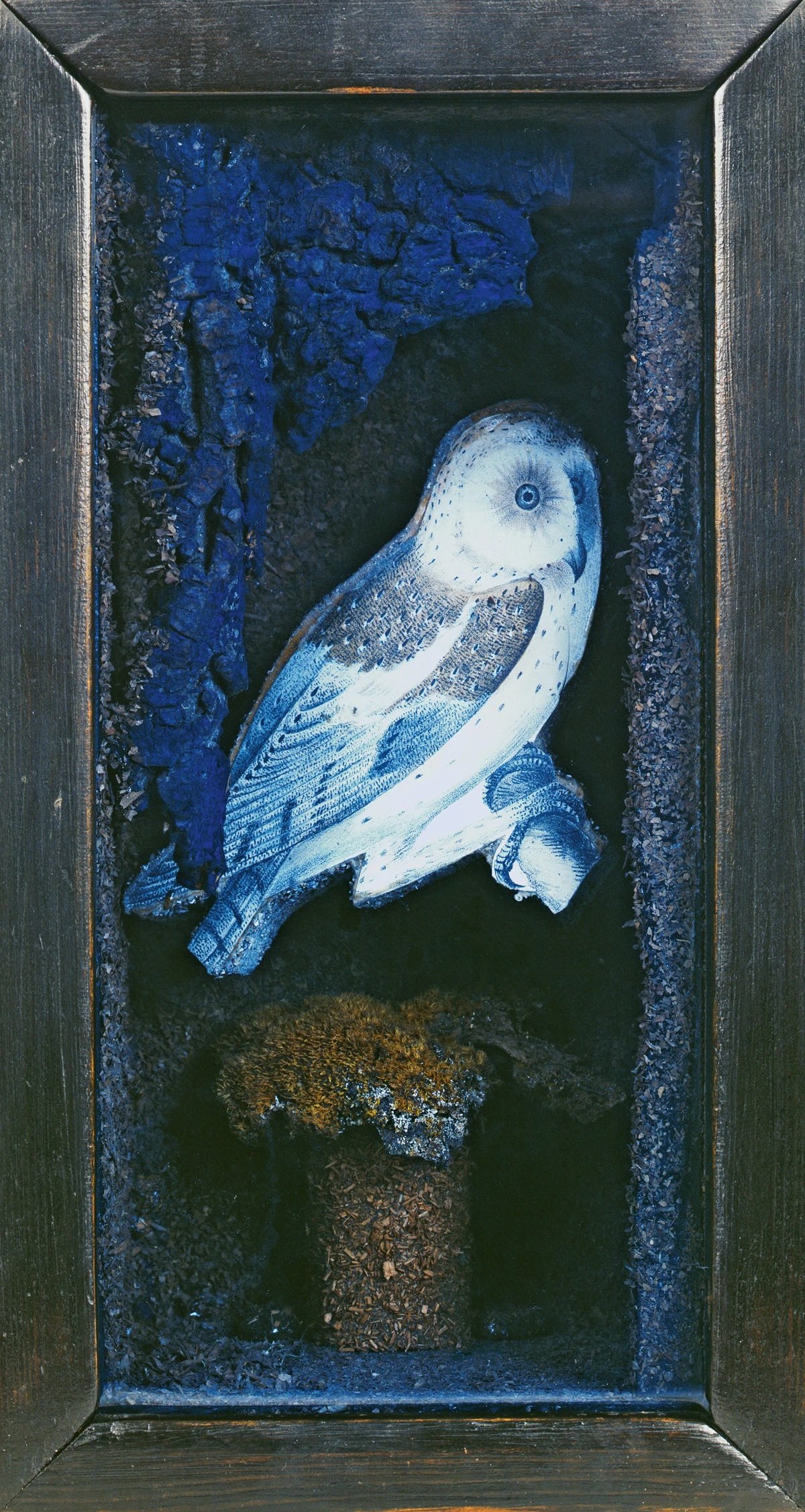 A white owl, mixed media artwork